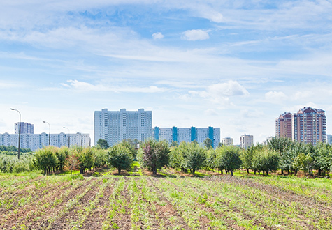 agriculture et urbain