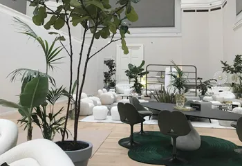 location de bacs et plantes