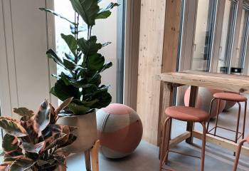 plantes d'intérieur en pot dans des bureaux