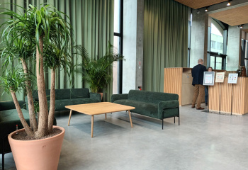 plantes d'intérieur en pot dans un hall d'accueil