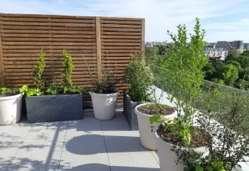 Focus projet : à Neuilly-sur-Seine (92), une résidence entre élégance et biodiversité