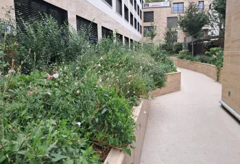 Focus projet : à Neuilly-sur-Seine (92), une résidence entre élégance et biodiversité