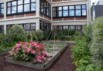 Le jardin partagé de Léon sélectionné pour l’ELCA Trend Award 2026