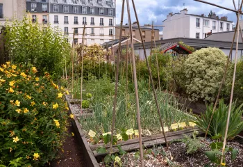 Le jardin partagé de Léon sélectionné pour l’ELCA Trend Award 2026