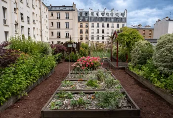 Le jardin partagé de Léon sélectionné pour l’ELCA Trend Award 2026