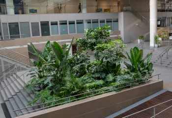 Focus projet : le technocentre Renault à Elancourt (78)