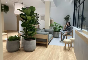 Focus projet : végétalisation d'un immeuble tertiaire, Oreima à Nanterre (92)