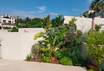 brise vue vegetalise