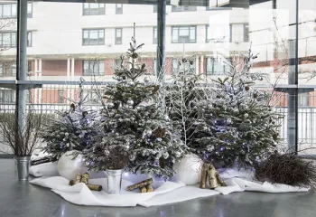 Inspiration décor de noel