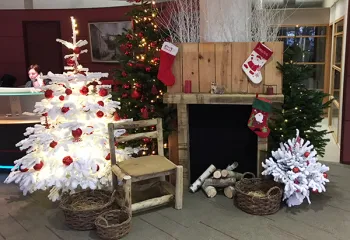 Inspiration décor de noel