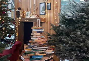 Inspiration décor de noel