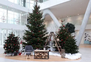 Inspiration décor de noel