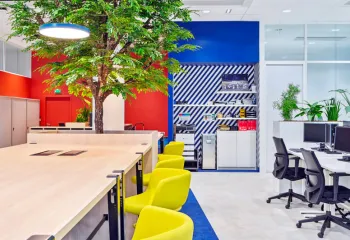 végétalisation de bureaux
