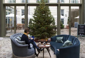 sapin vert