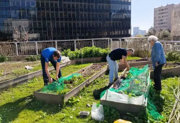 Agriculture urbaine : les animations reprennent dans les potagers de la Défense