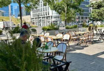 Focus projet : végétalisation de la terrasse du Terminus à Rennes