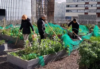 Agriculture urbaine : les animations reprennent dans les potagers de la Défense