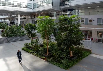 Focus projet : le technocentre Renault à Elancourt (78)