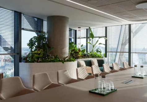Santé mentale au travail : les bienfaits des plantes dans les espaces de bureau
