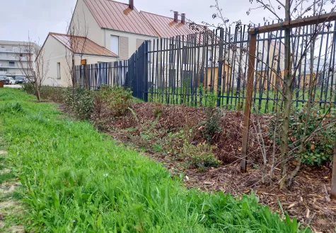 Focus projet : Eco-quartier Mycelium à Moissy-Cramayel (77)
