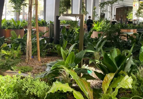 Végétalisation  du nouveau siège de Boston Consulting Group par les Jardins de Gally