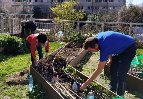 Agriculture urbaine : les animations reprennent dans les potagers de la Défense