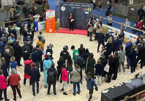 Ring du concours général d'agriculture