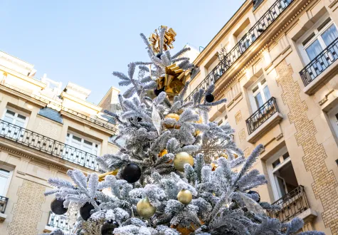 Décorations de Noël pour entreprises : réservez dès maintenant