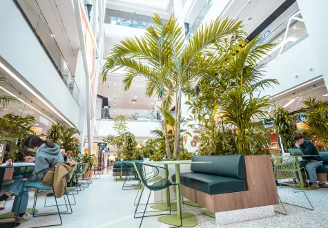 Focus projet : végétalisation intérieure du centre commercial NICETOILE (06)