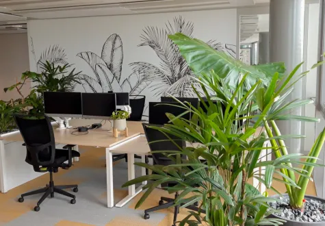 Santé mentale au travail : les bienfaits des plantes dans les espaces de bureau