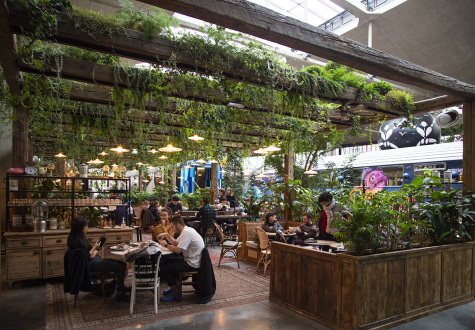 végétalisation d'un restaurant avec des plantes d'inétrieur