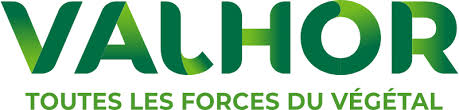 logo valhor