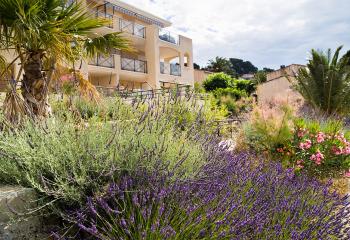 aménagement paysager de jardin dans la région PACA