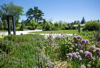 Création de jardin paysagiste pays de la loire