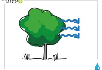 L'arbre