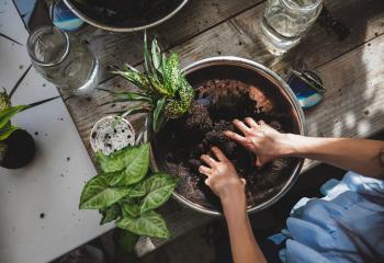 atelier nature