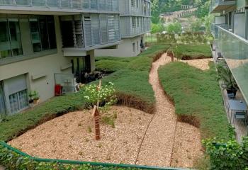 création de jardin dans la métropole de Lyon