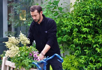 entretien écologique de jardins