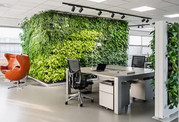 mur végétal d'intérieur
