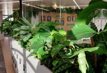 Les Jardins de Gally x Sage : une collaboration qui traverse les frontières !  