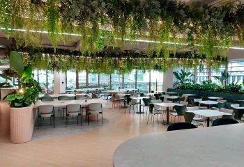 Les Jardins de Gally x Sage : une collaboration qui traverse les frontières !  