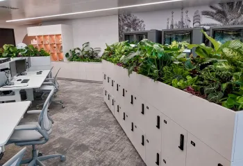 Les Jardins de Gally x Sage : une collaboration qui traverse les frontières !  