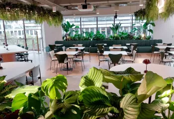 Les Jardins de Gally x Sage : une collaboration qui traverse les frontières !  