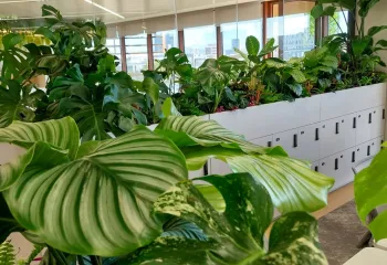 Les Jardins de Gally x Sage : une collaboration qui traverse les frontières !  