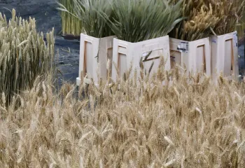 Les Jardins de Gally - Les Événements au Salon de l'Agriculture 2026