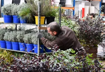 Les Jardins de Gally - Les Événements au Salon de l'Agriculture 2026
