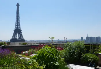 Agriculture urbaine Paris