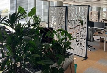 décoration végétale paysage d'intérieur bureau