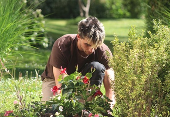 entretien écologique de jardins