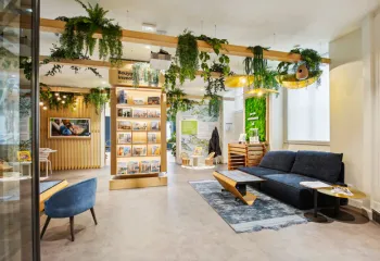 showroom plantes d'intérieur